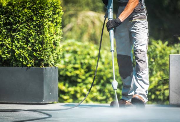 Best Restaurant Pressure Washing  in Appleton, MN